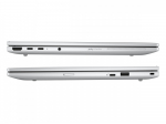 Notebook EliteBook 8 G1a Ryzen AI 5 PRO 340  512GB/24GB/W11P/14.0  C51H2ET
